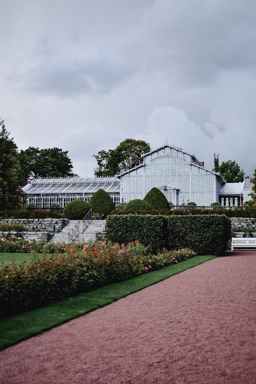 Kostnadsfri bild av anläggning, botanisk trädgård, finland