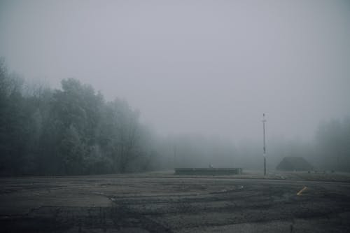 bezplatná Základová fotografie zdarma na téma krajina, mlha, nízká viditelnost Základová fotografie