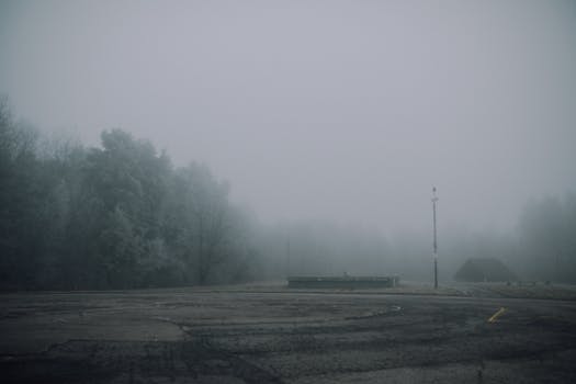 A misty, foggy landscape featuring trees and an empty road under low visibility conditions.