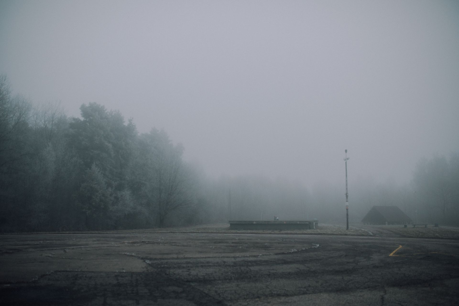 A misty, foggy landscape featuring trees and an empty road under low visibility conditions.