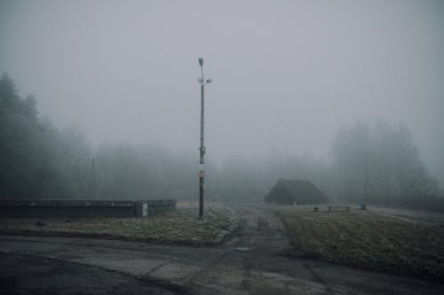 Kostenloses Stock Foto zu düster, licht beiträge, nebel