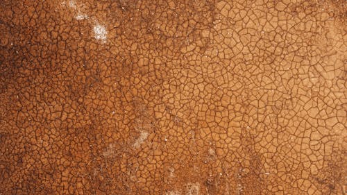 Free Top view of textured backdrop of barren terrain with irregular surface of brown color in daytime Stock Photo