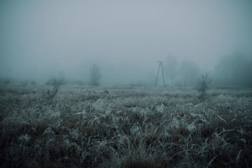 Meadow with grass covered with hoarfrost in countryside in cold foggy gloomy morning