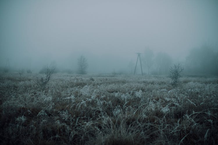 Rural Field With Hoarfrost In Thick Haze