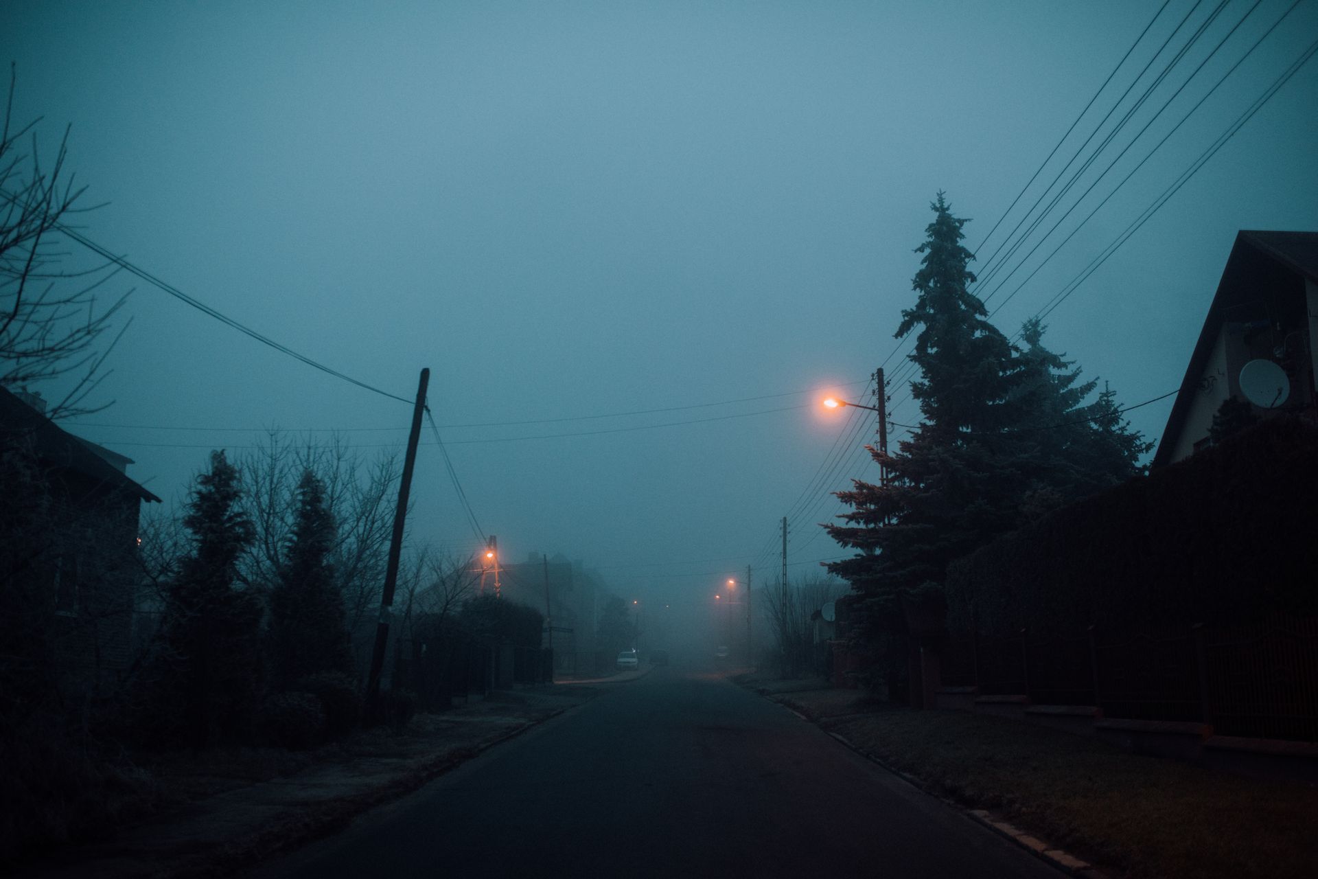 Street Lights Turned on at Dusk