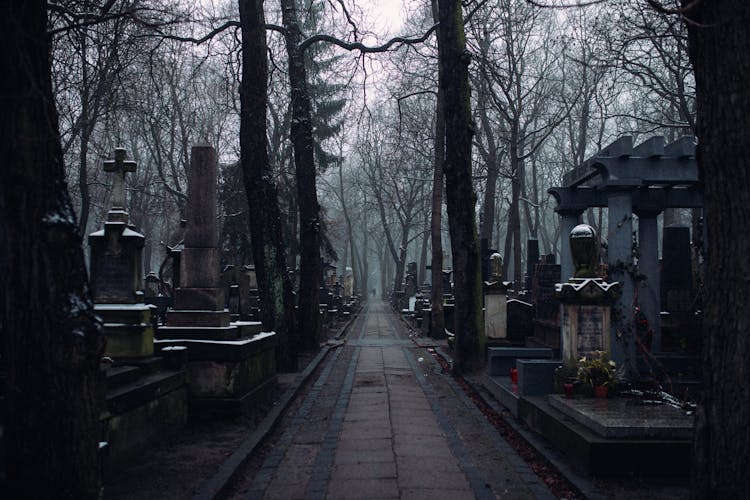 A Walkway Inside The Cemetery