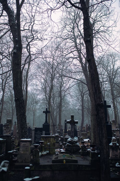 Gloomy Weather Over the Graveyard with Bare Trees