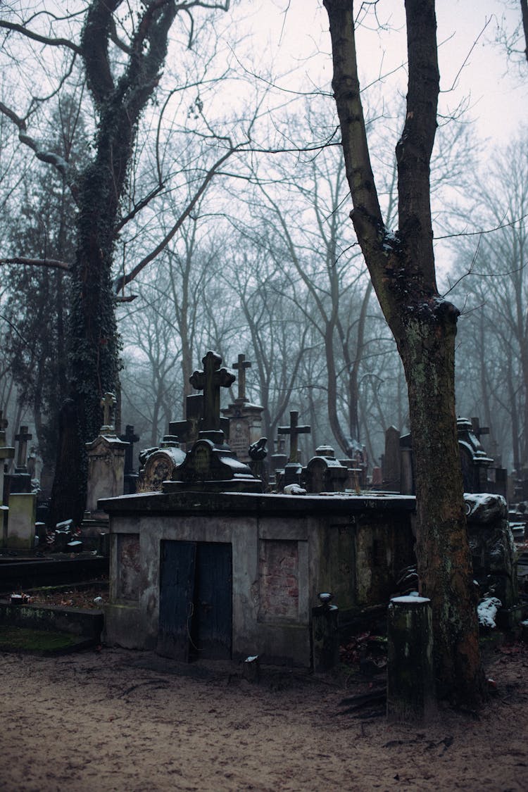 Cemetery With Bare Trees