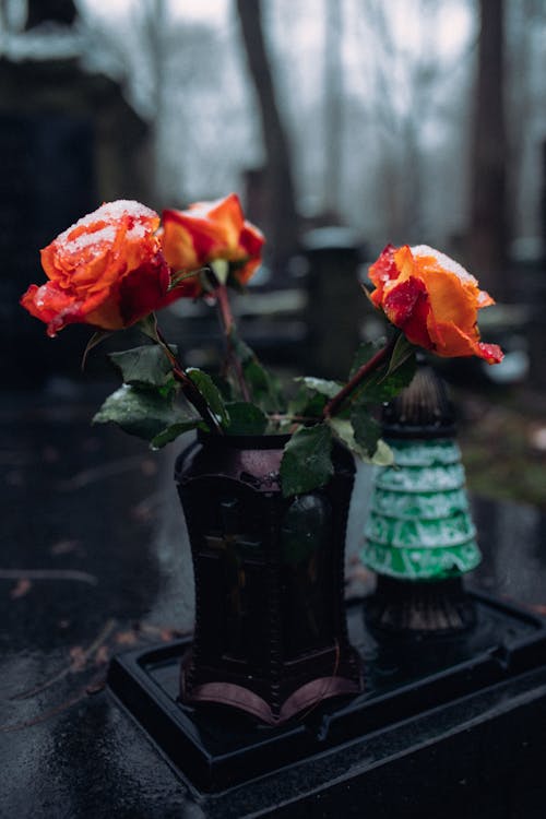 Free Roses on Vases over a Tomb Stock Photo
