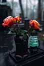 Roses on Vases over a Tomb