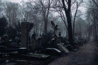 Old Cemetery with Bare Trees