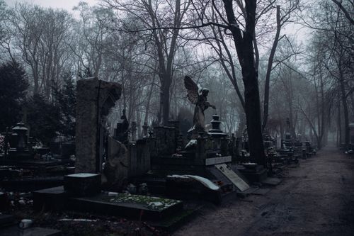 Free Foggy cemetery scene with bare trees and tombstones creating a somber and mysterious atmosphere. Stock Photo