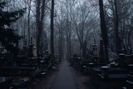 Brown Bare Trees in the Cemetery