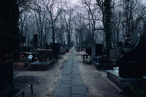 An Empty Cemetery 