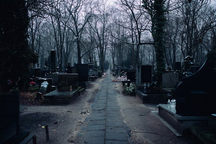 An Empty Cemetery 