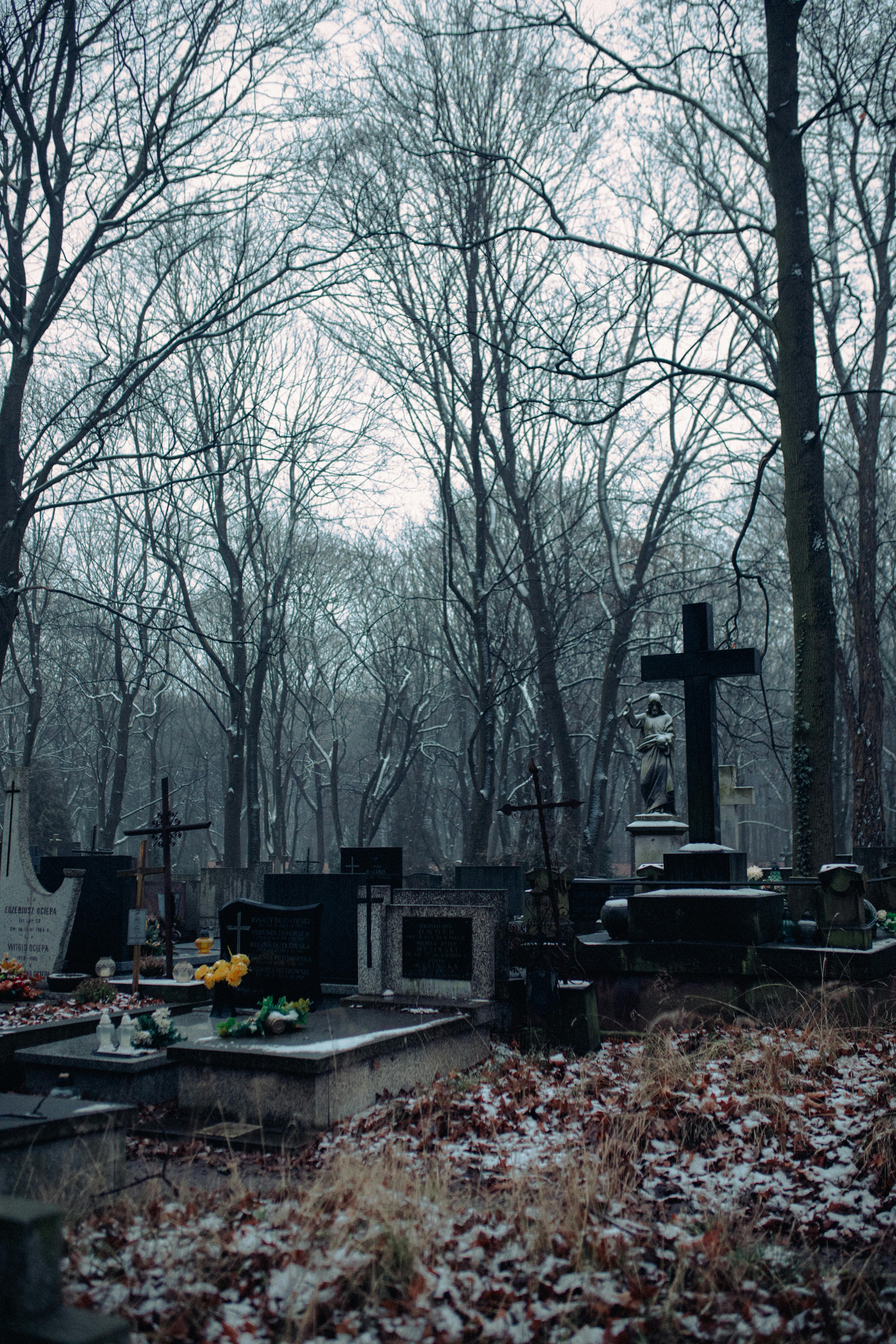 100 000 Foto Yesus Di Kayu Salib Terbaik Unduh Gratis 100 Foto Stok Pexels