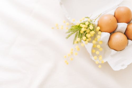 Fotos de stock gratuitas de bandeja de huevos, celebración de pascua, flor de mimosa