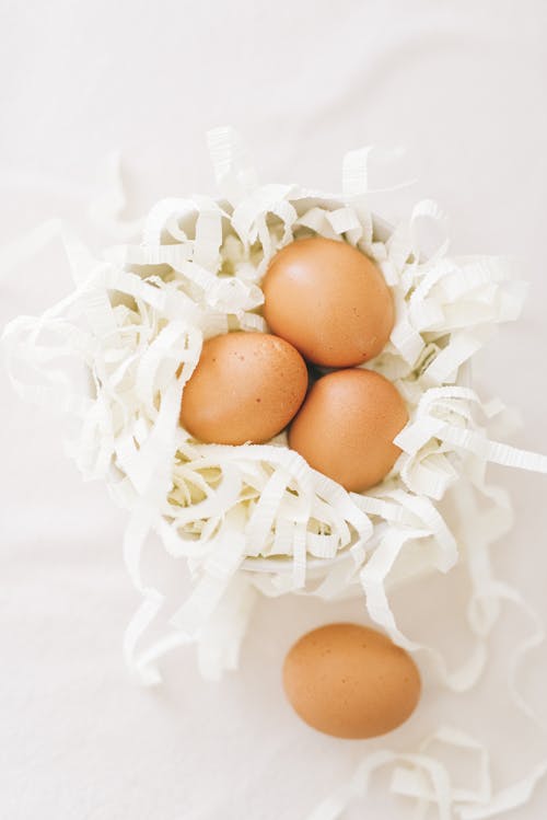 Free Brown Eggs on White Cut-Out Paper Stock Photo