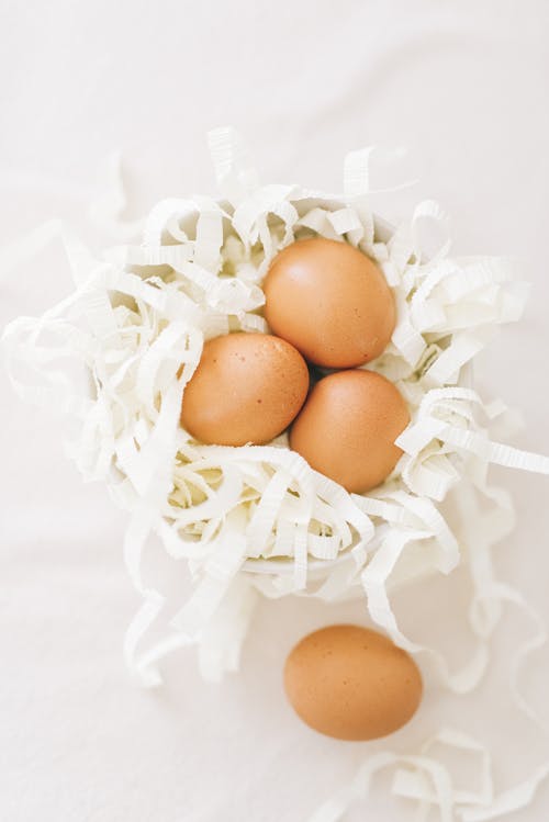 Brown Eggs on White Cut-Out Paper