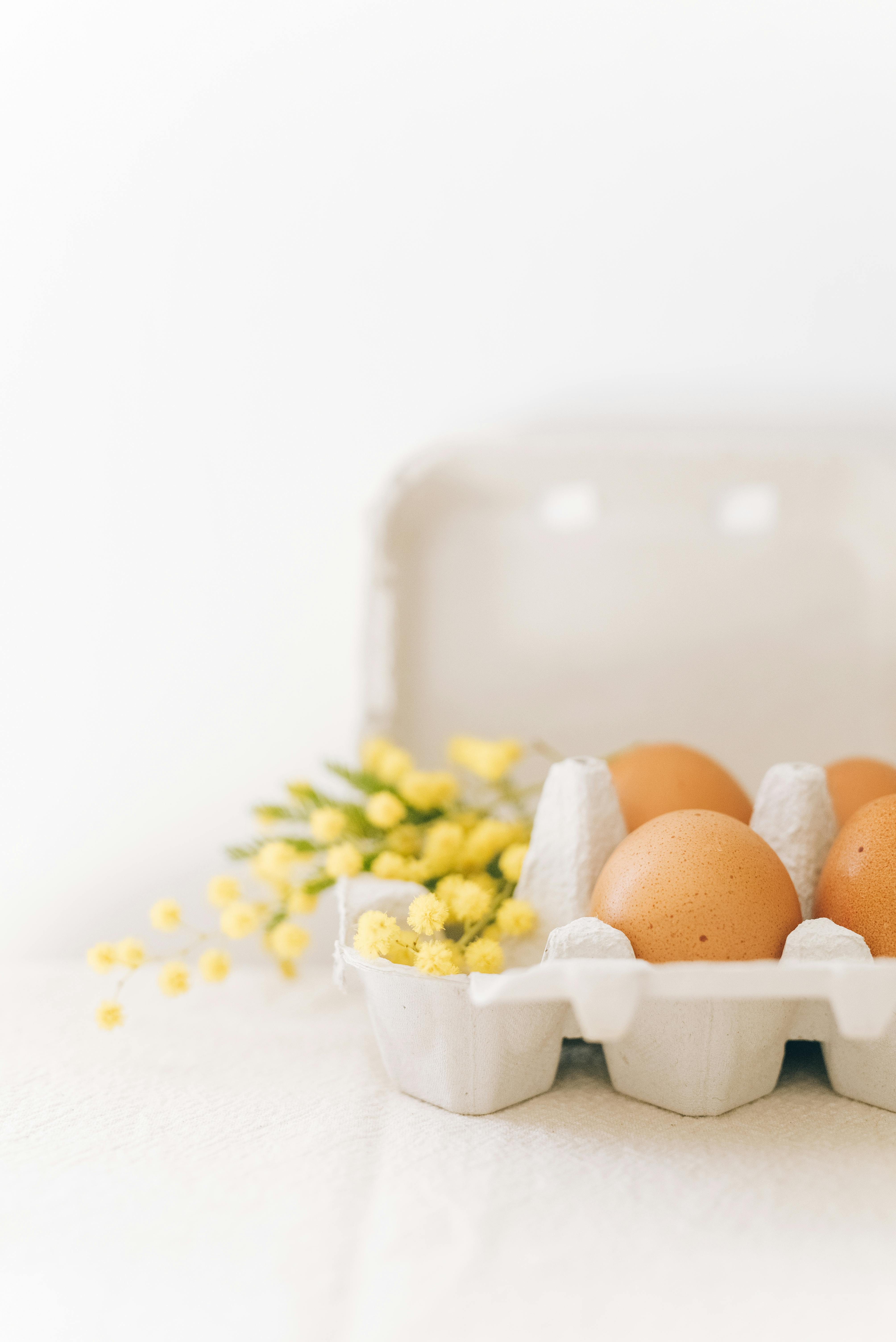 Brown eggs in a carton with yellow mimosa flowers, symbolizing Easter in a minimalistic setting.