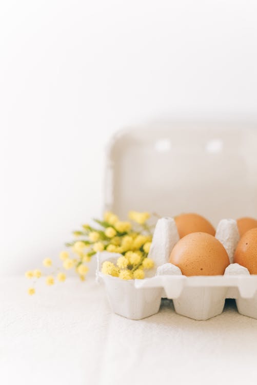 Immagine gratuita di Buona Pasqua, cartone di uova, celebrazione di pasqua