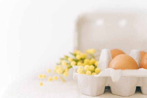Kostnadsfri bild av ägg, ägg kartong, beskära