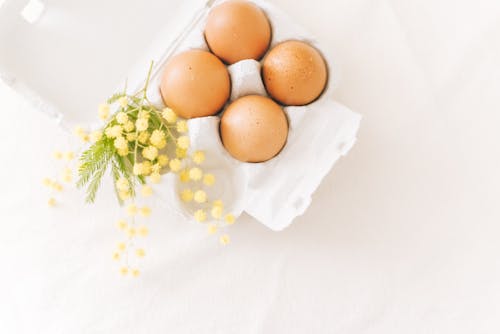 Gratis lagerfoto af æg, æggekarton, blomst
