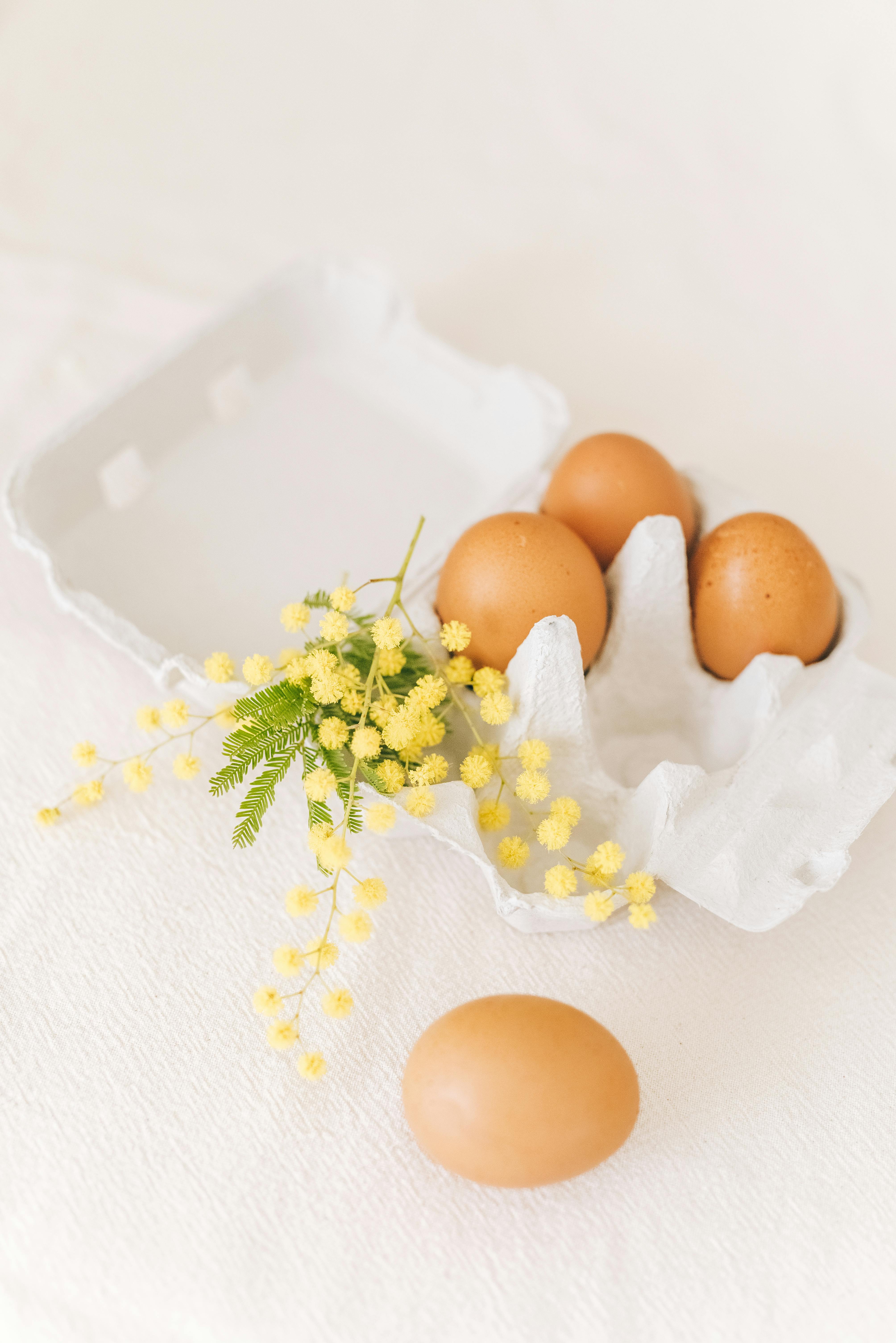 Brown eggs in a tray with delicate mimosa flowers, captured in a bright still life arrangement.