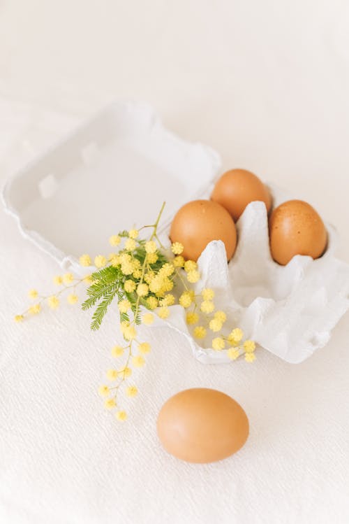 Fotos de stock gratuitas de bandeja de huevos, celebración de pascua, flor de mimosa