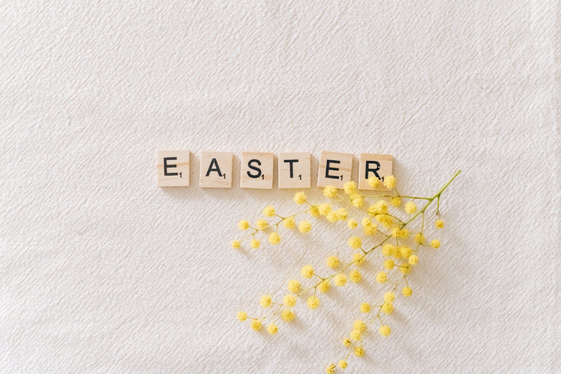 Δωρεάν στοκ φωτογραφιών με flatlay, mimosa λουλούδι, scrabble