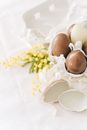 Brown Eggs And Yellow Flowers On Table