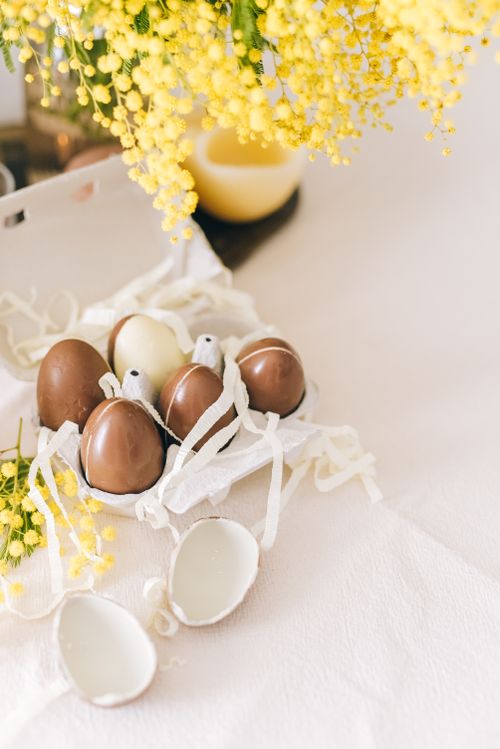 Free Chocolate Easter eggs with mimosa flowers create a festive spring decoration. Stock Photo