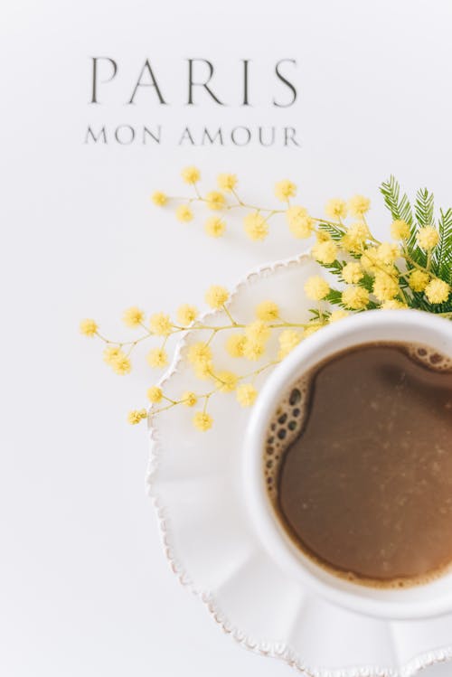 Δωρεάν στοκ φωτογραφιών με flatlay, mimosa λουλούδι, αγάπη
