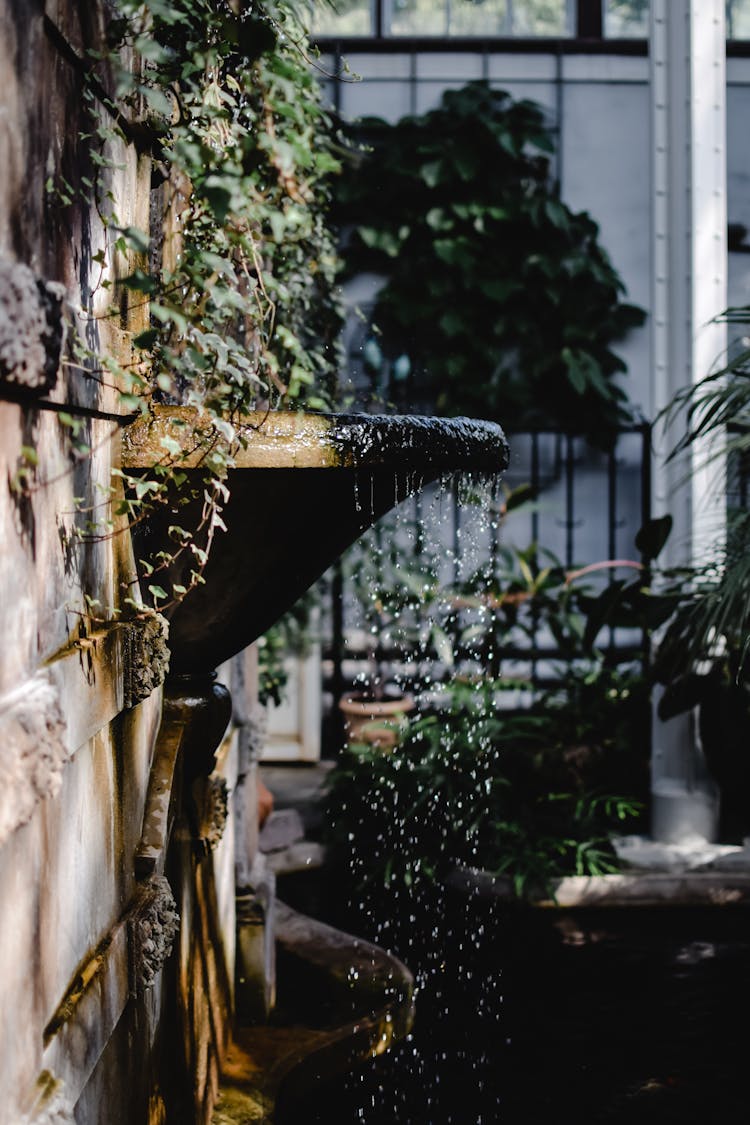 Water Fountain In The Garden