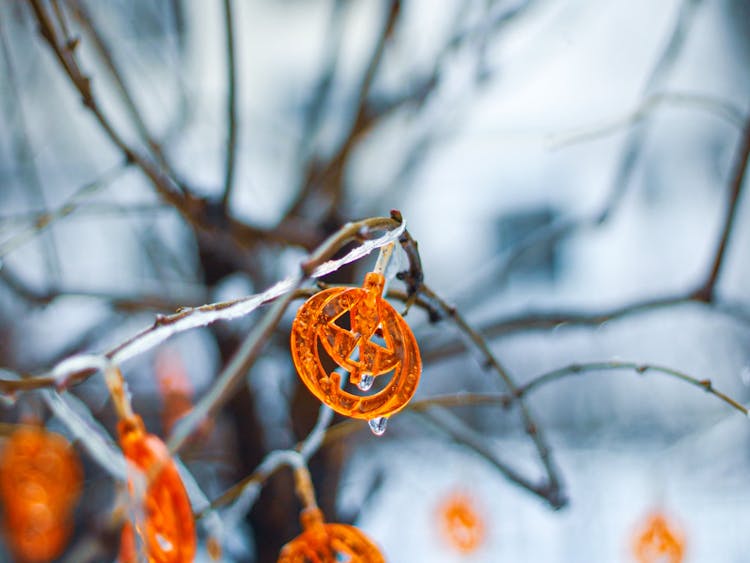 Close-up Of A Halloween Decoration Pumpkin Shaped Lights 