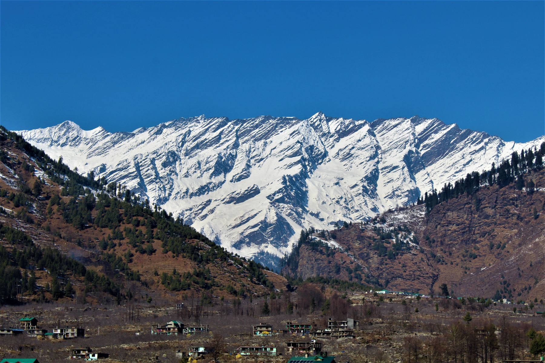 Deodar forest above the Beas river with snow peaks at the head of the valley