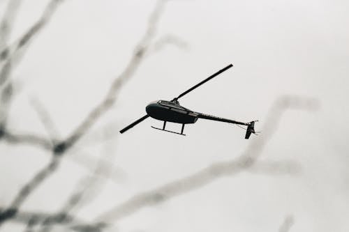 From below of rotor plane flying high above tree twigs blurred in daylight