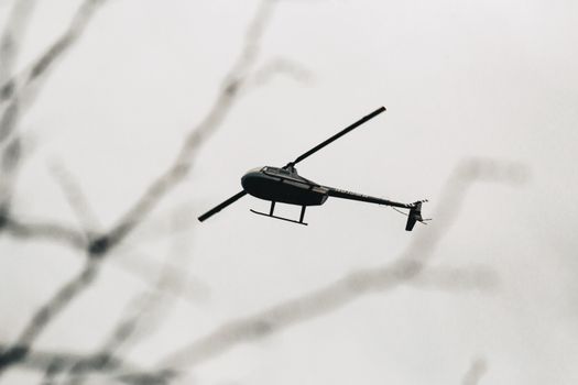 From below of rotor plane flying high above tree twigs blurred in daylight