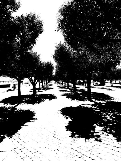 Free stock photo of capture, location, paved walkway Stock Photo