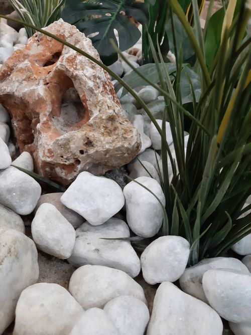 Free stock photo of artificial plants, carved stones, cobblestone Stock Photo