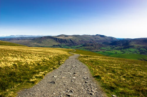 Dirt Road in Between Grass Field