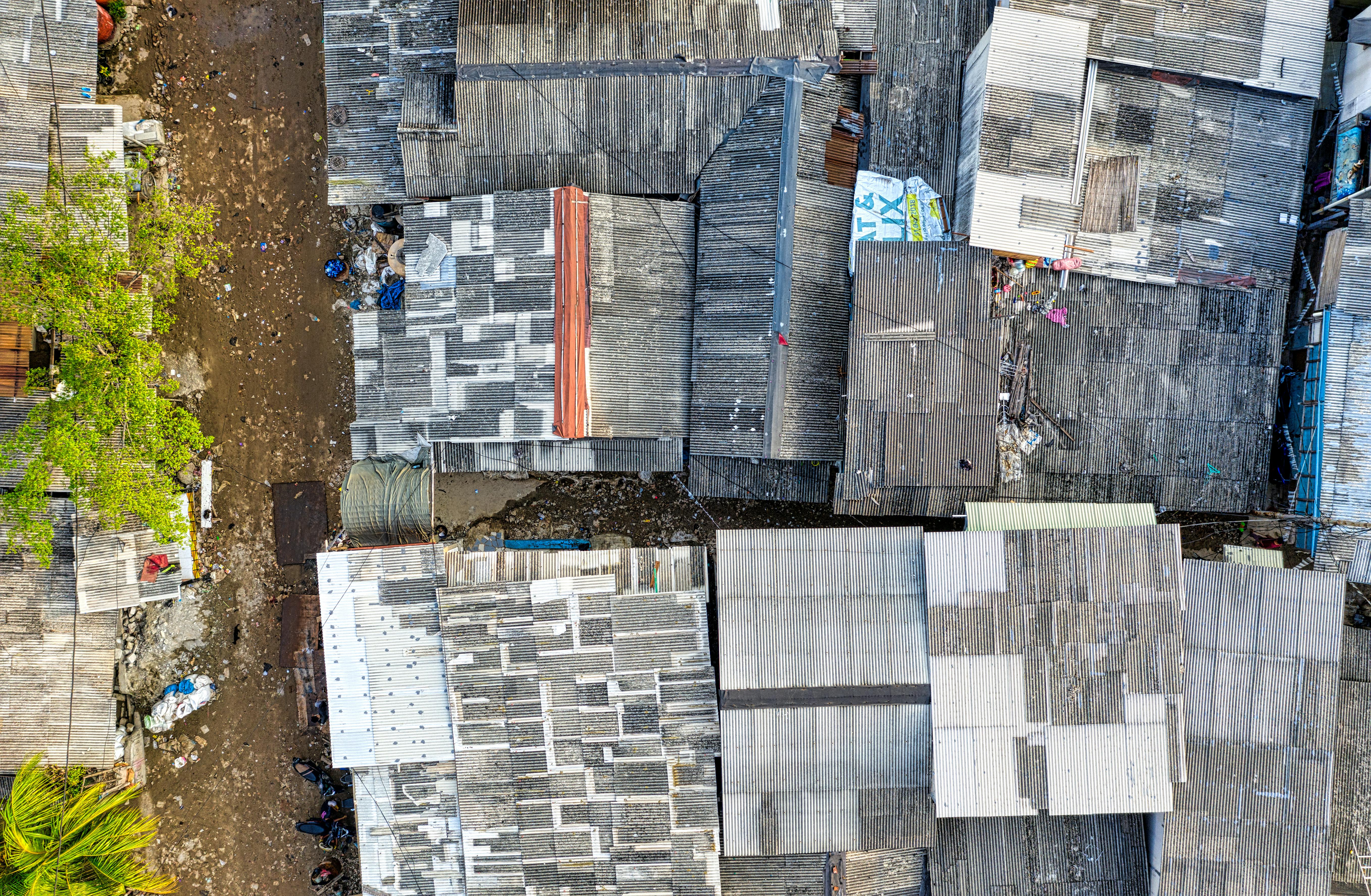 climate resilience — Photo by Tom Fisk on Pexels