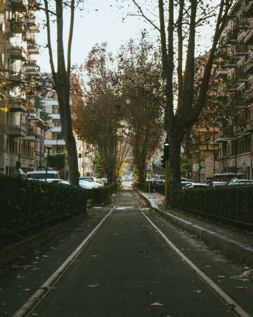 Free A tranquil tree-lined urban street flanked by tall buildings, ideal for travel or architecture themes. Stock Photo