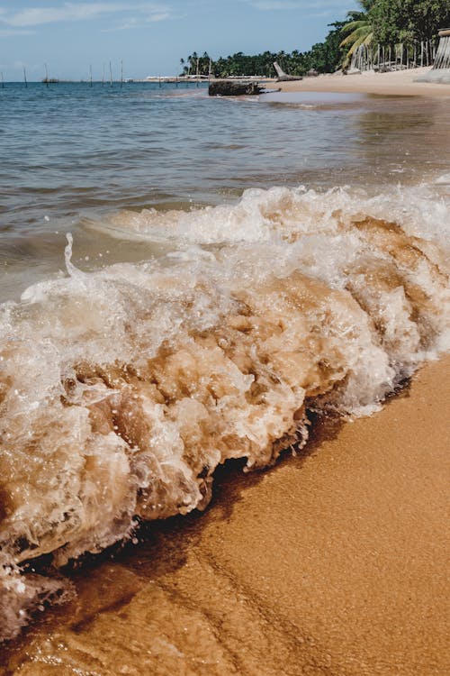 アクア, エキゾチック, さざ波の無料の写真素材
