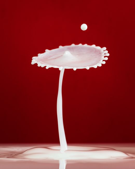Abstract art photo capturing a stunning milk splash against striking red backdrop.