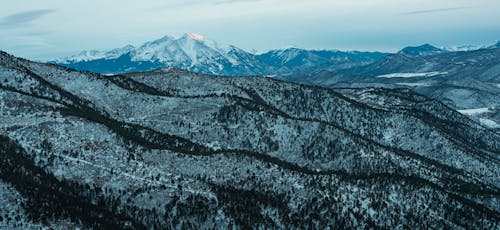 Imagine de stoc gratuită din codru, fotografie aeriană, fotografie cu drona