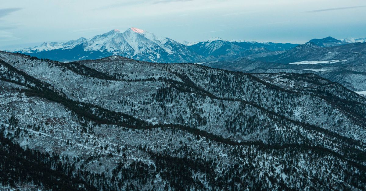 Colorado survey