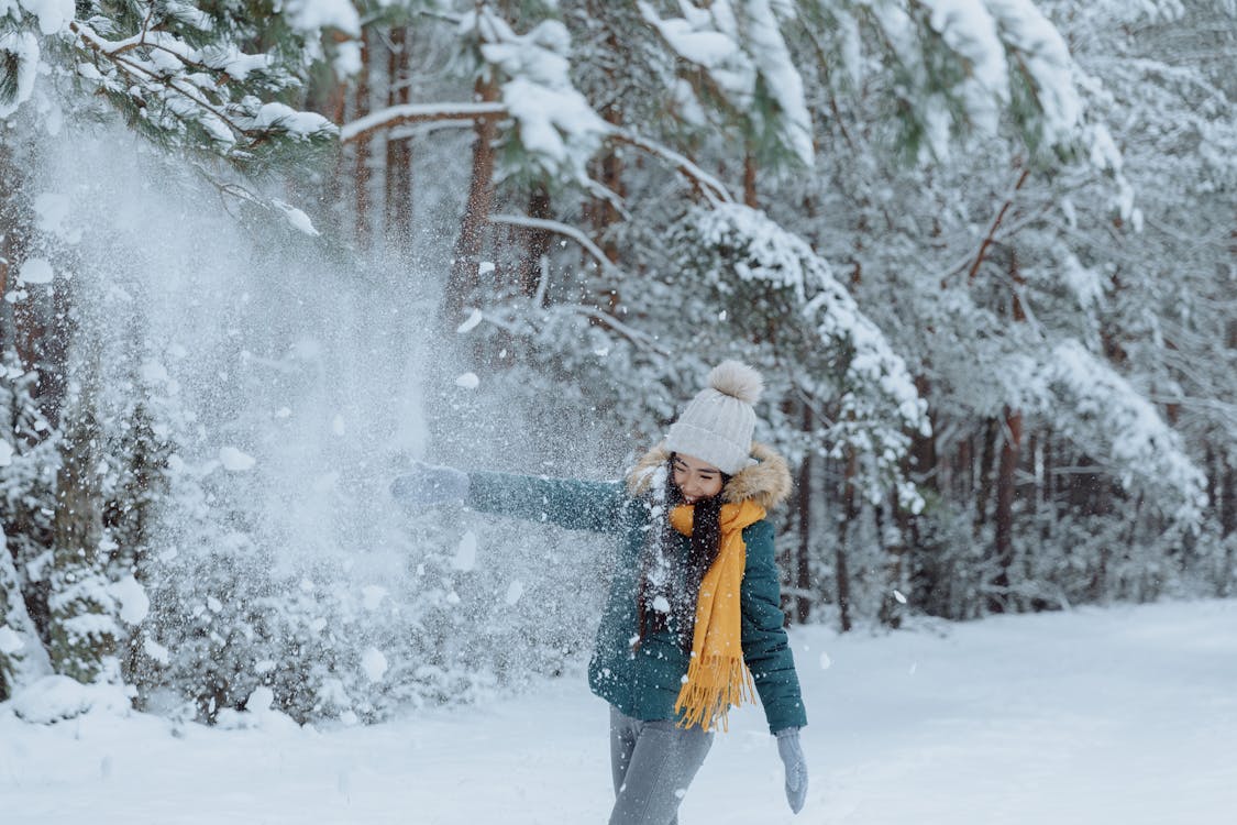 Immagine gratuita di abbigliamento invernale, alberi, ambiente