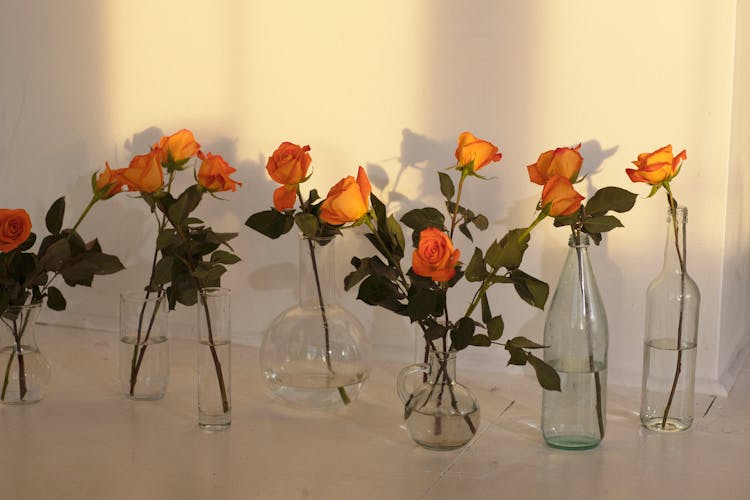 Blooming Roses In Vases On Floor In Sunlight