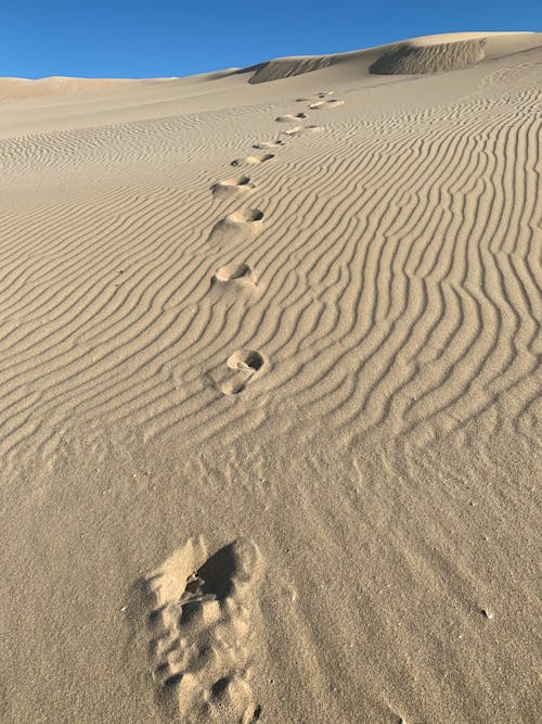 Imagine de stoc gratuită din arid, atrăgător, deșert